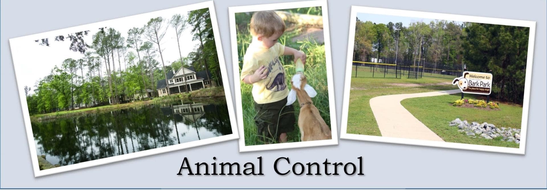 NEEDS ALT TEXT — image from the legacy county website
